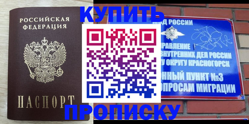 прописка гарантия в Коле